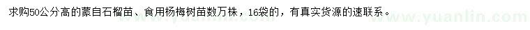 求購(gòu)高50公分蒙自石榴苗、食用楊梅樹(shù)苗