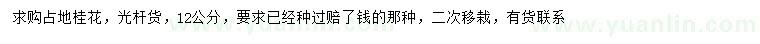 求購12公分桂花