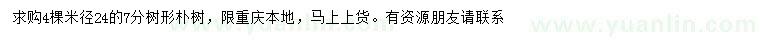 求購米徑24公分樸樹