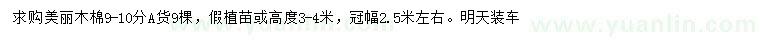 求購9-10公分美麗木棉