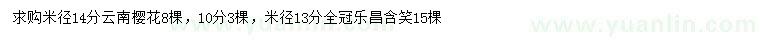 求購米徑10、14分云南櫻花、米徑13分樂昌含笑