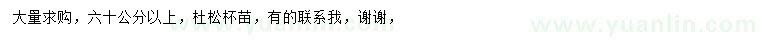 求購60公分以上杜松