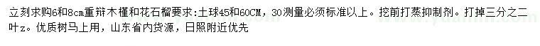 求購30量6、8公分木槿、花石榴