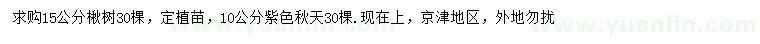 求購15公分楸樹、10公分紫色秋天