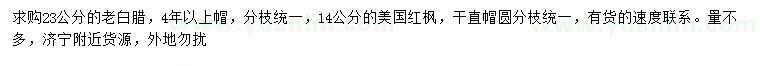 求購23公分老白蠟、14公分美國紅楓