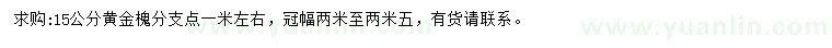求購15公分黃金槐