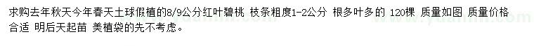 求購8、9公分紅葉碧桃