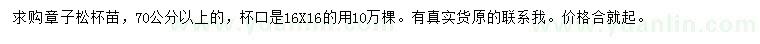 求購70公分以上樟子松