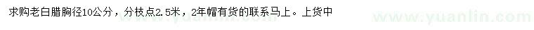 求購(gòu)胸徑10公分老白蠟
