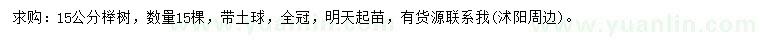 求購15公分櫸樹