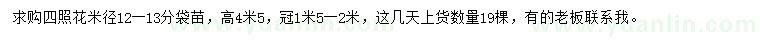 求購米徑12-13公分四照花