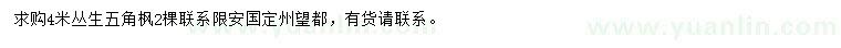 求購4米叢生五角楓