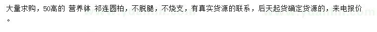 求購高50公分祁連圓柏