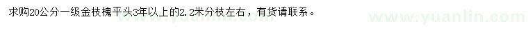 求購(gòu)20公分金枝槐