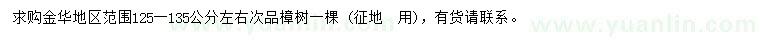 求購125-135公分樟樹