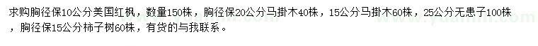 求購(gòu)美國(guó)紅楓、馬掛木、無(wú)患子等