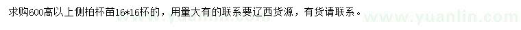 求購高600公分以上側(cè)柏