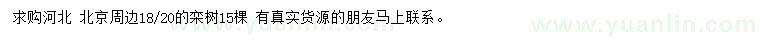 求購18、20公分欒樹