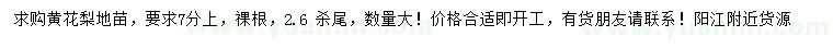 求購7公分以上黃花梨