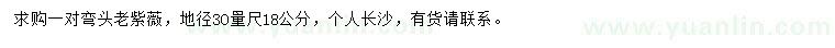 求購30公分18公分老紫薇