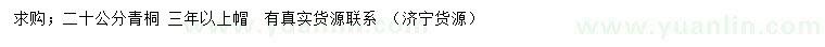 求購(gòu)20公分青桐