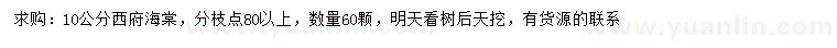 求購10公分西府海棠