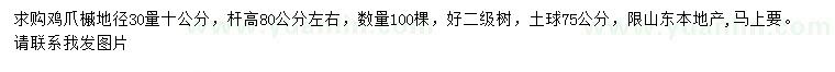 求購30量10公分雞爪槭