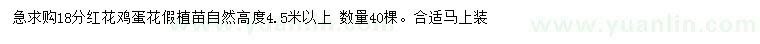 求購18公分紅花雞蛋花