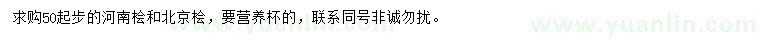 求購(gòu)50公分以上河南檜、北京檜