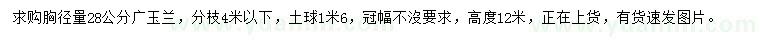 求購胸徑28公分廣玉蘭