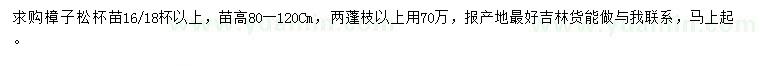 求購高0.8-1.2米樟子松