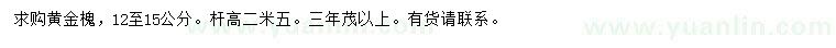 求購12-15公分黃金槐