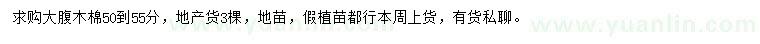 求購50-55公分大腹木棉