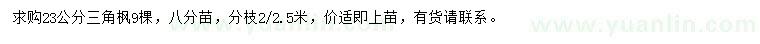 求購23公分三角楓