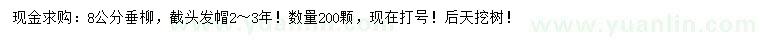 求購(gòu)8公分垂柳