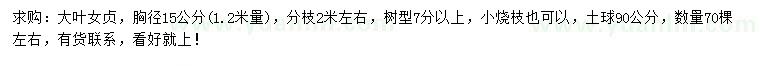 求購胸徑15公分大葉女貞