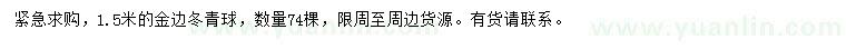 求購1.5米金邊冬青球