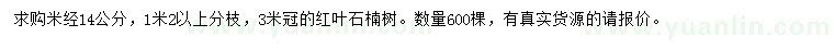 求購米徑14公分紅葉石楠樹