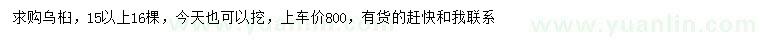 求購15公分以上烏桕