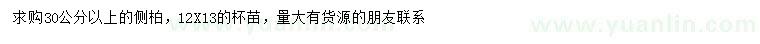 求購30公分以上側(cè)柏