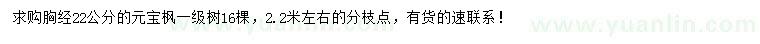 求購(gòu)胸徑22公分元寶楓