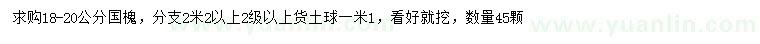 求購(gòu)18-20公分國(guó)槐