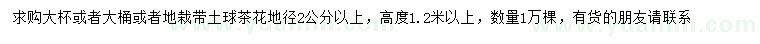 求購地徑2公分以上茶花