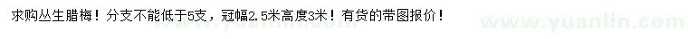 求購高3米叢生臘梅