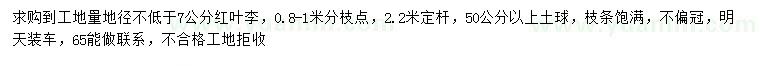 求購地徑7公分以上紅葉李