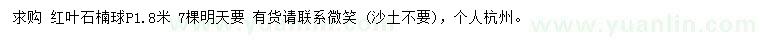 求購(gòu)冠幅1.8米紅葉石楠球