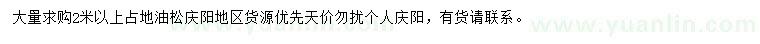 求購2米以上油松