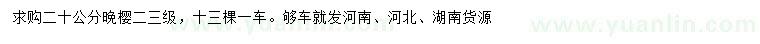 求購20公分晚櫻