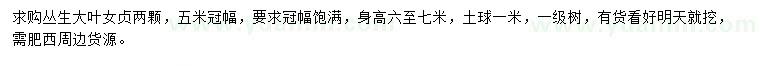 求購冠幅5米叢生大葉女貞