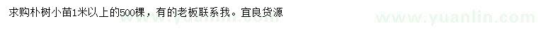 求購1米以上樸樹